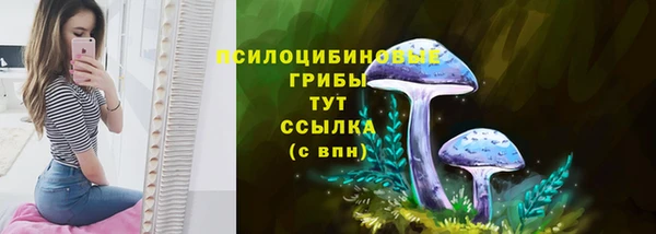 твердый Ижевск