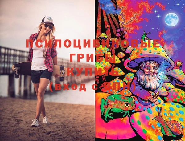метадон Коряжма