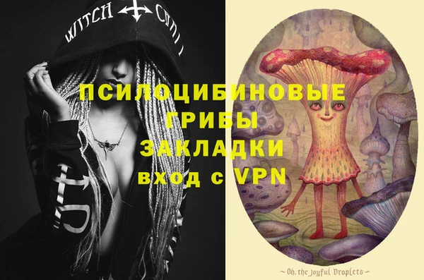 твердый Ижевск