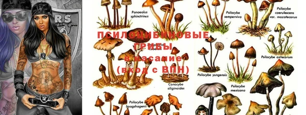 jwh Тольятти