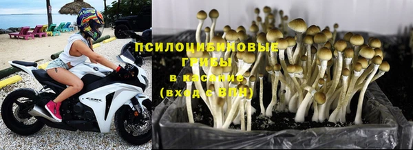 твердый Ижевск
