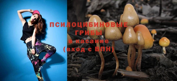метадон Коряжма