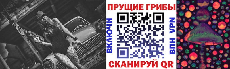 купить наркоту  Волгоград  мориарти как зайти  Галлюциногенные грибы MAGIC MUSHROOMS 