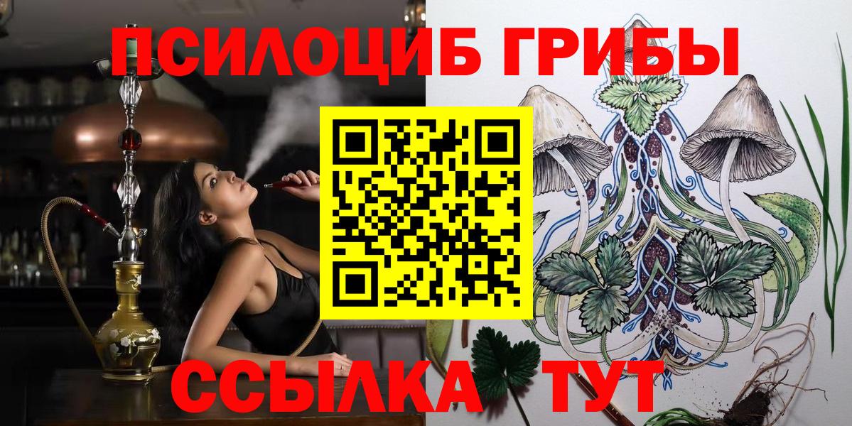 Волгоград  Галлюциногенные грибы GOLDEN TEACHER  Вход с VPN 