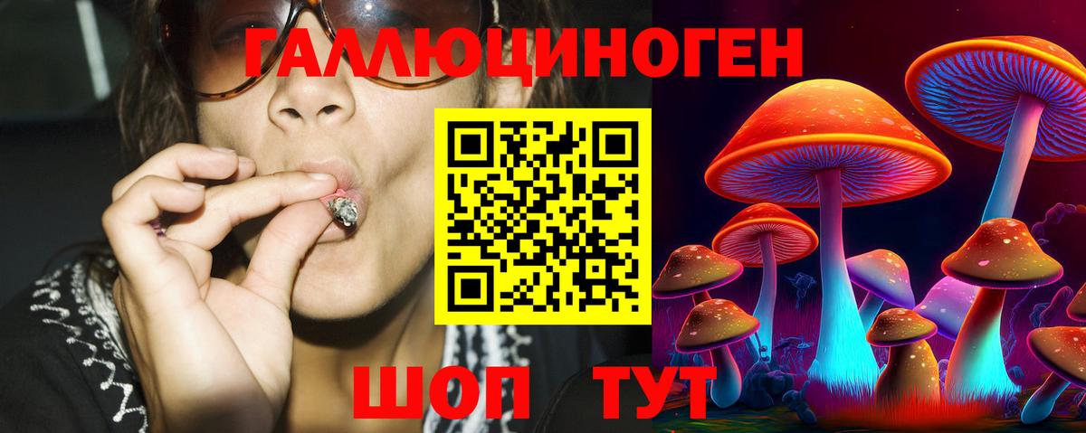 Галлюциногенные грибы прущие грибы Волгоград