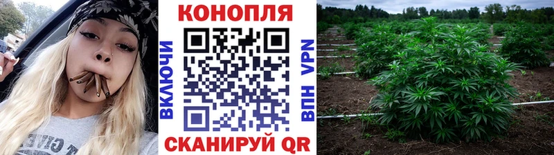 Бошки Шишки AK-47  магазин    Волгоград 
