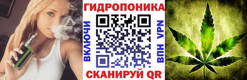 МАРИХУАНА сатива Волгоград